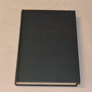 Aino Kuusinen Jumala syöksee enkelinsä